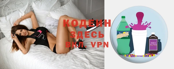 дурь Бородино
