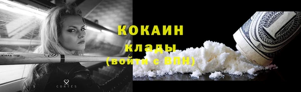 винт Верея