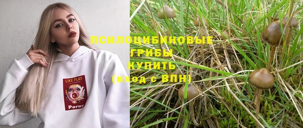 прущая мука Верхний Тагил