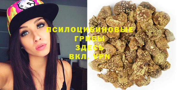 дурь Бородино