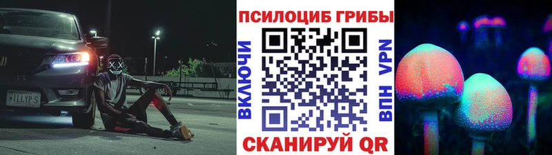 сколько стоит  Волгореченск  Галлюциногенные грибы мухоморы 